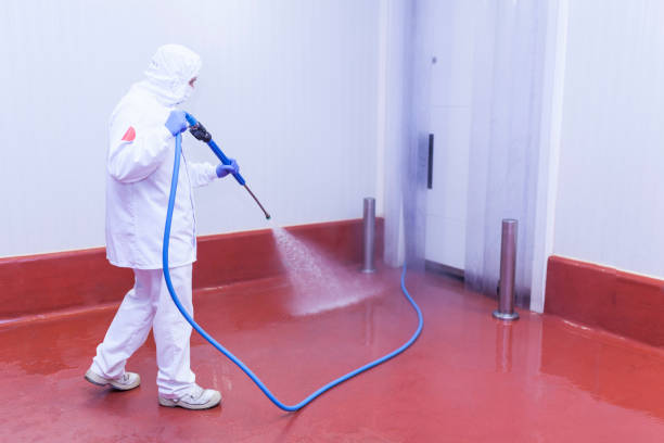 Best Soft Washing  in Leesburg, OH