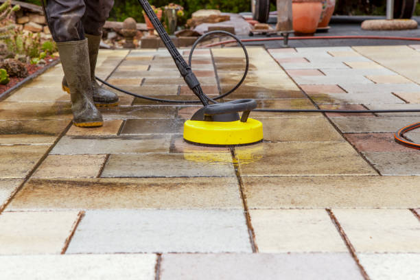 Best Winterizing Services  in Leesburg, OH